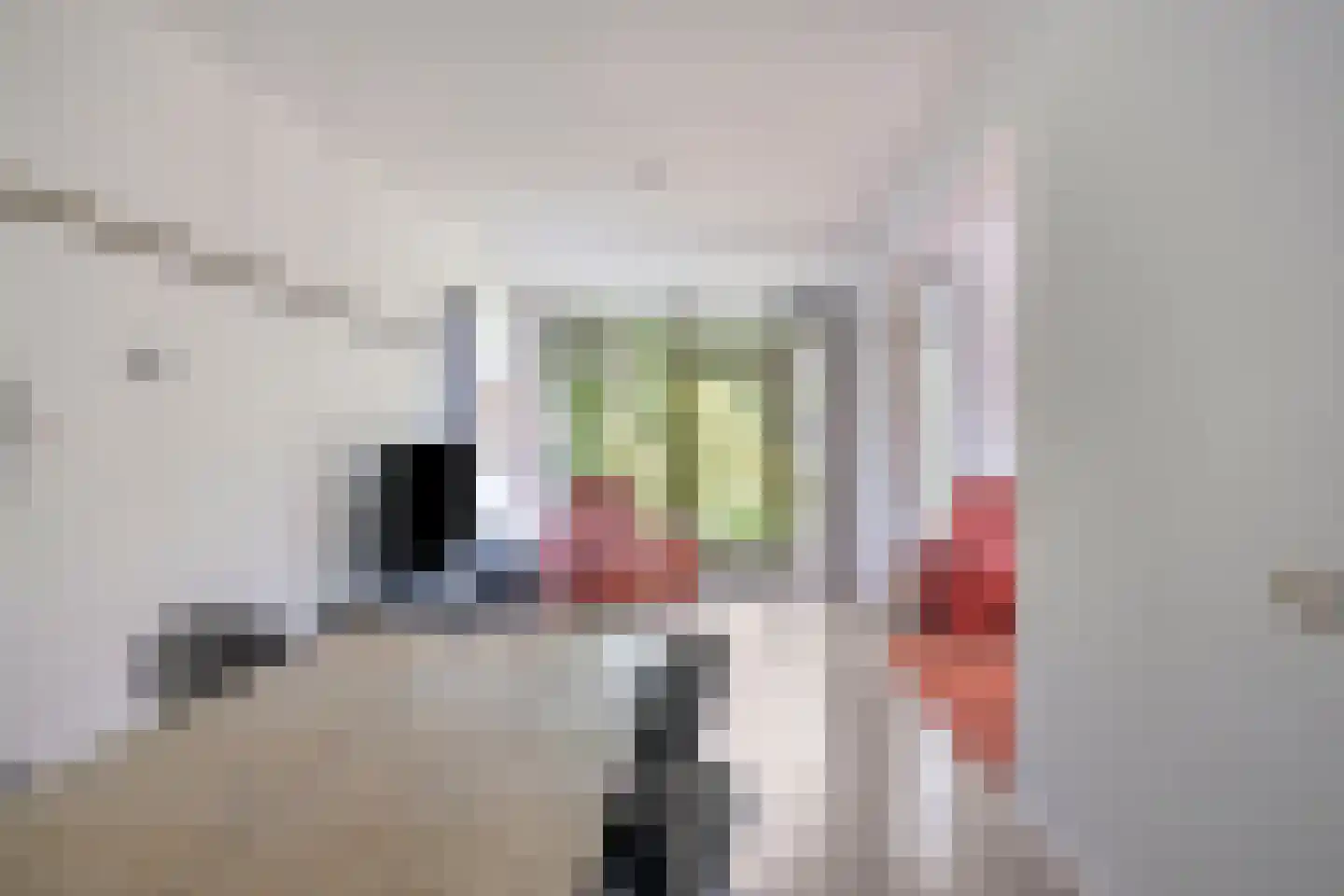 Molenkreek 13 Zwolle thumbnail 15
