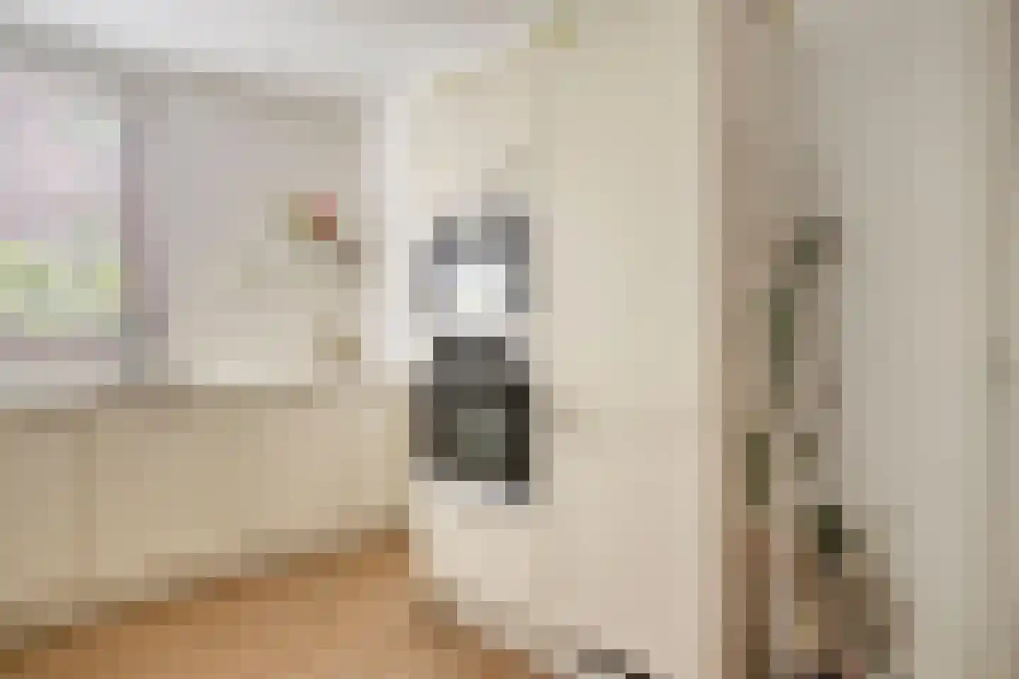 Molenkreek 13 Zwolle thumbnail 20