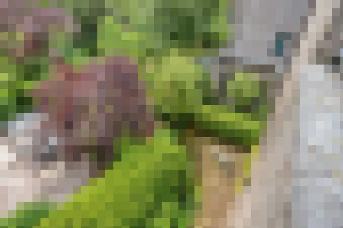 Molenkreek 13 Zwolle thumbnail 47