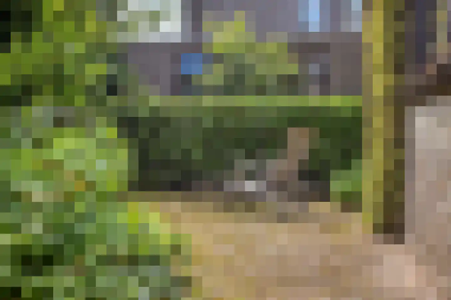 Molenkreek 13 Zwolle thumbnail 54
