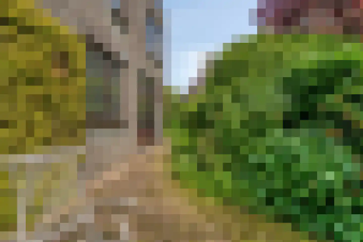Molenkreek 13 Zwolle thumbnail 55