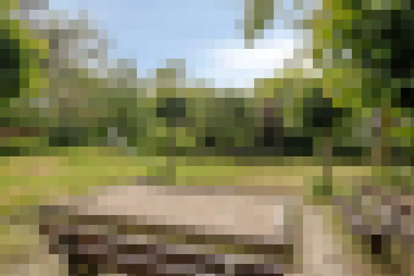Molenkreek 13 Zwolle thumbnail 58