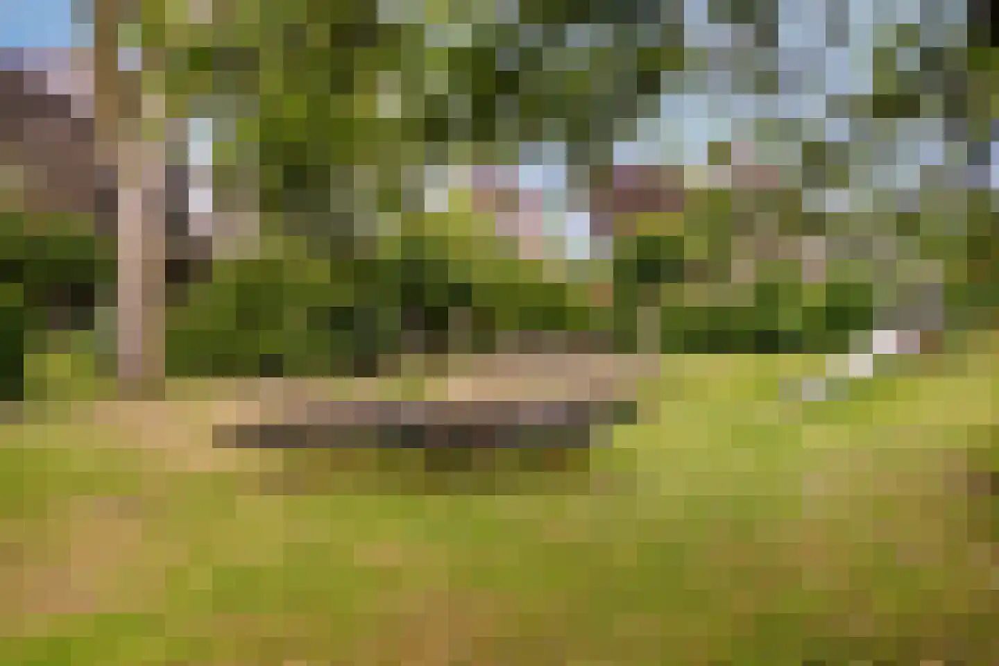 Molenkreek 13 Zwolle thumbnail 59