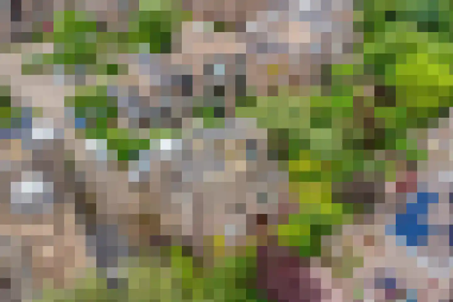 Molenkreek 13 Zwolle thumbnail 60