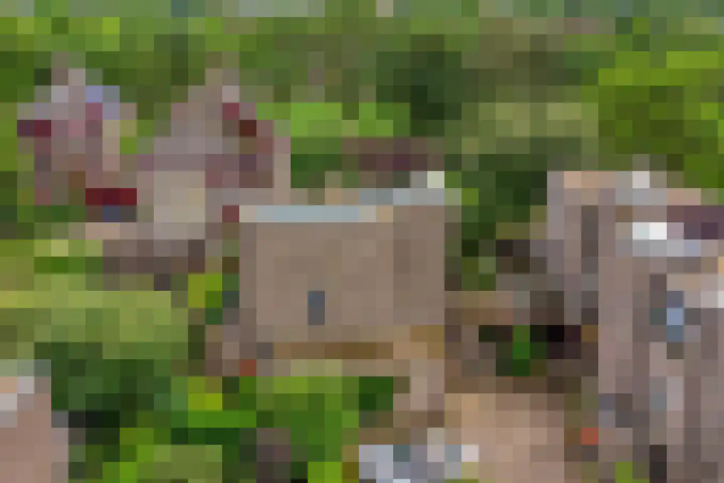 Molenkreek 13 Zwolle thumbnail 61