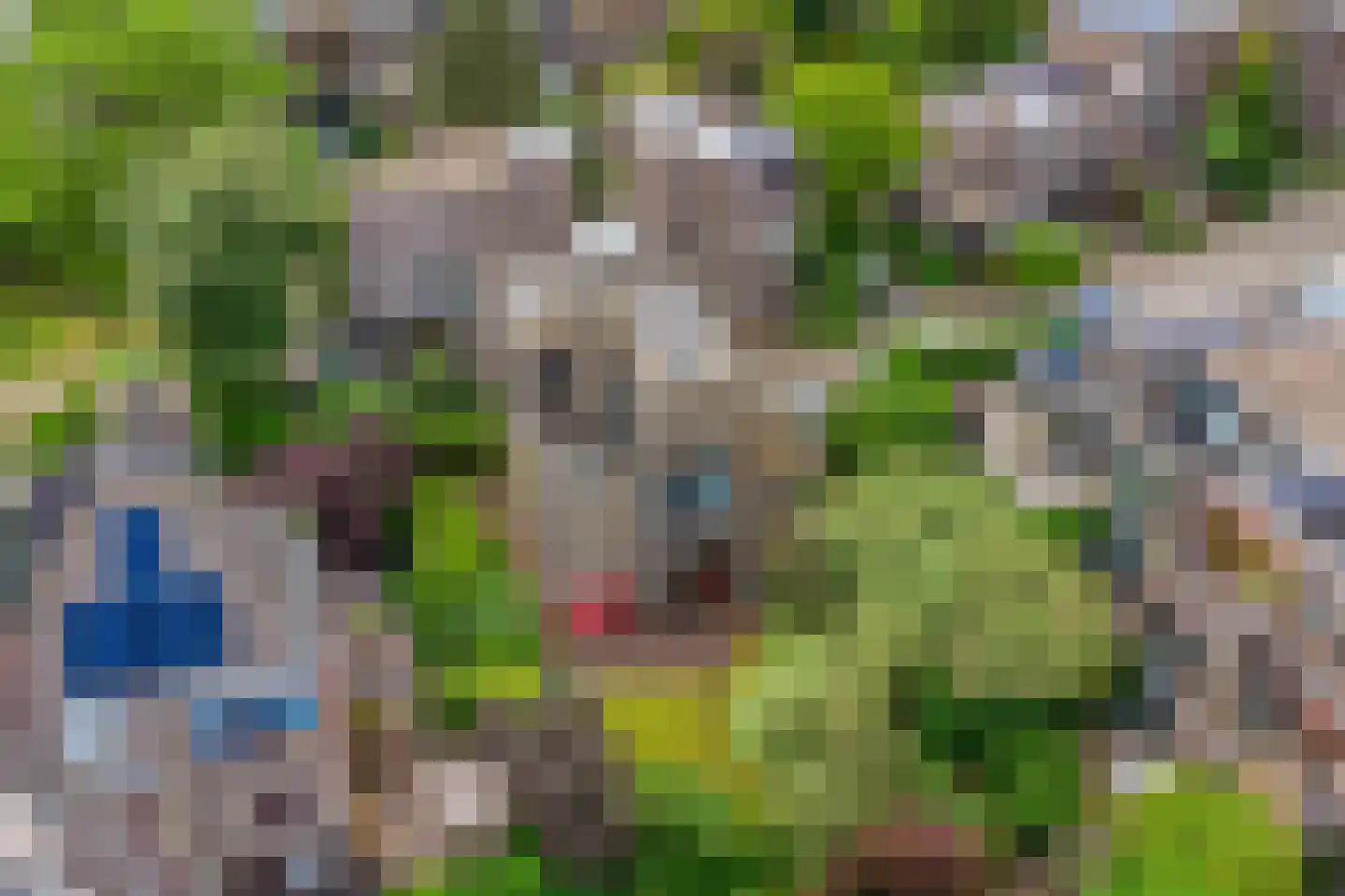 Molenkreek 13 Zwolle thumbnail 62