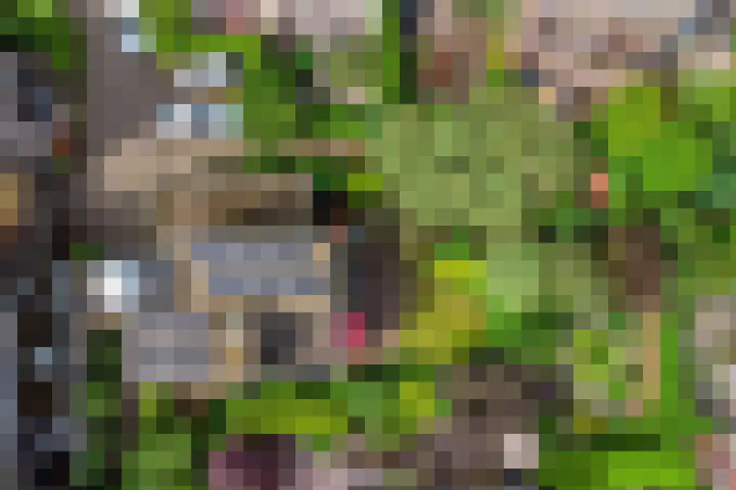 Molenkreek 13 Zwolle thumbnail 65