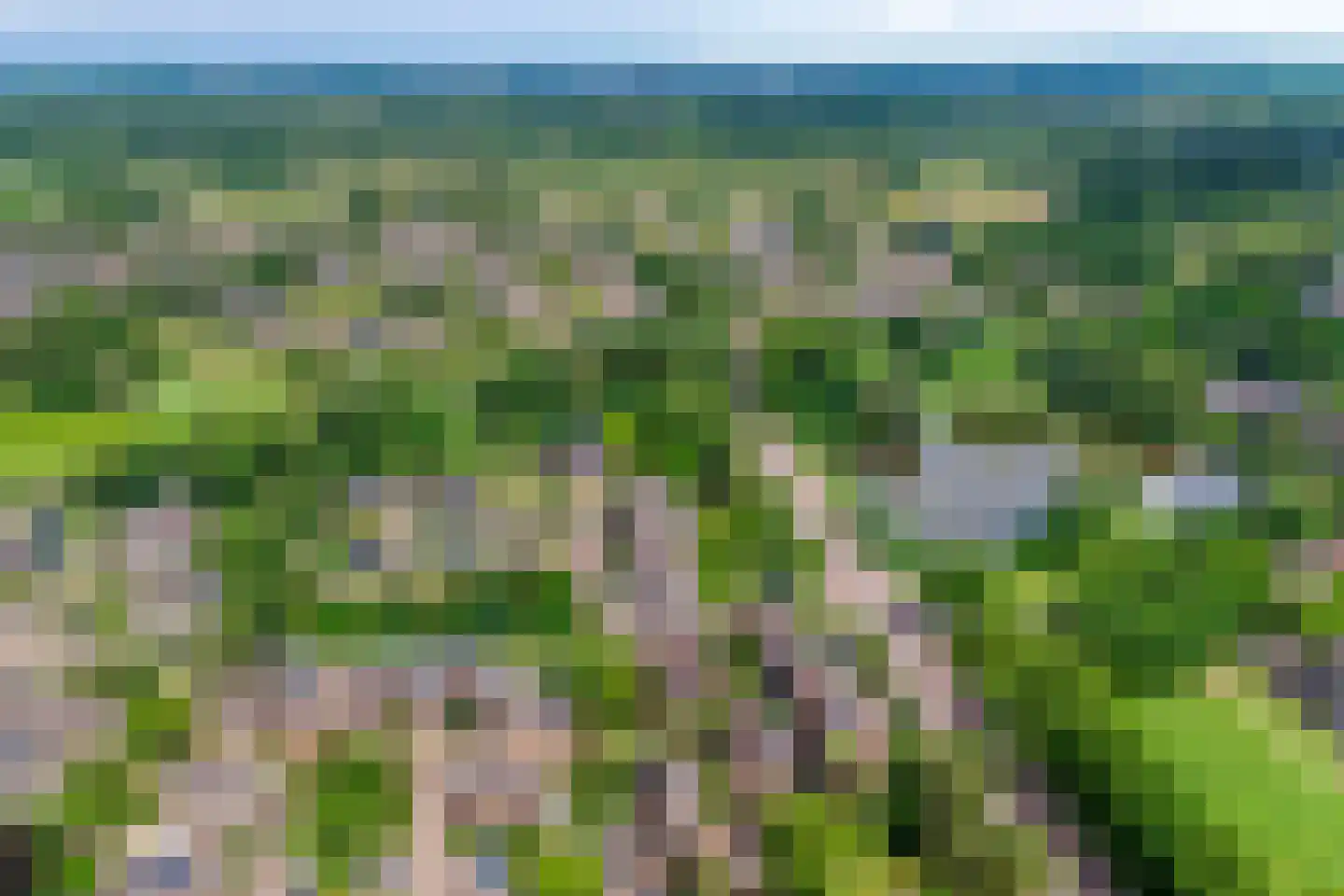 Molenkreek 13 Zwolle thumbnail 66