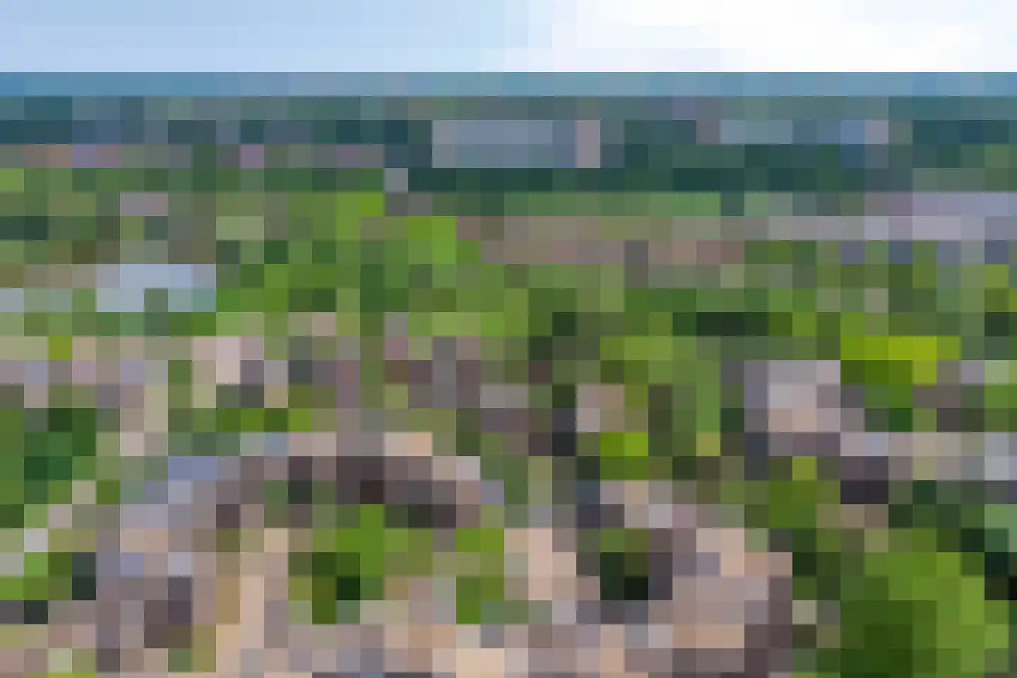Molenkreek 13 Zwolle thumbnail 67