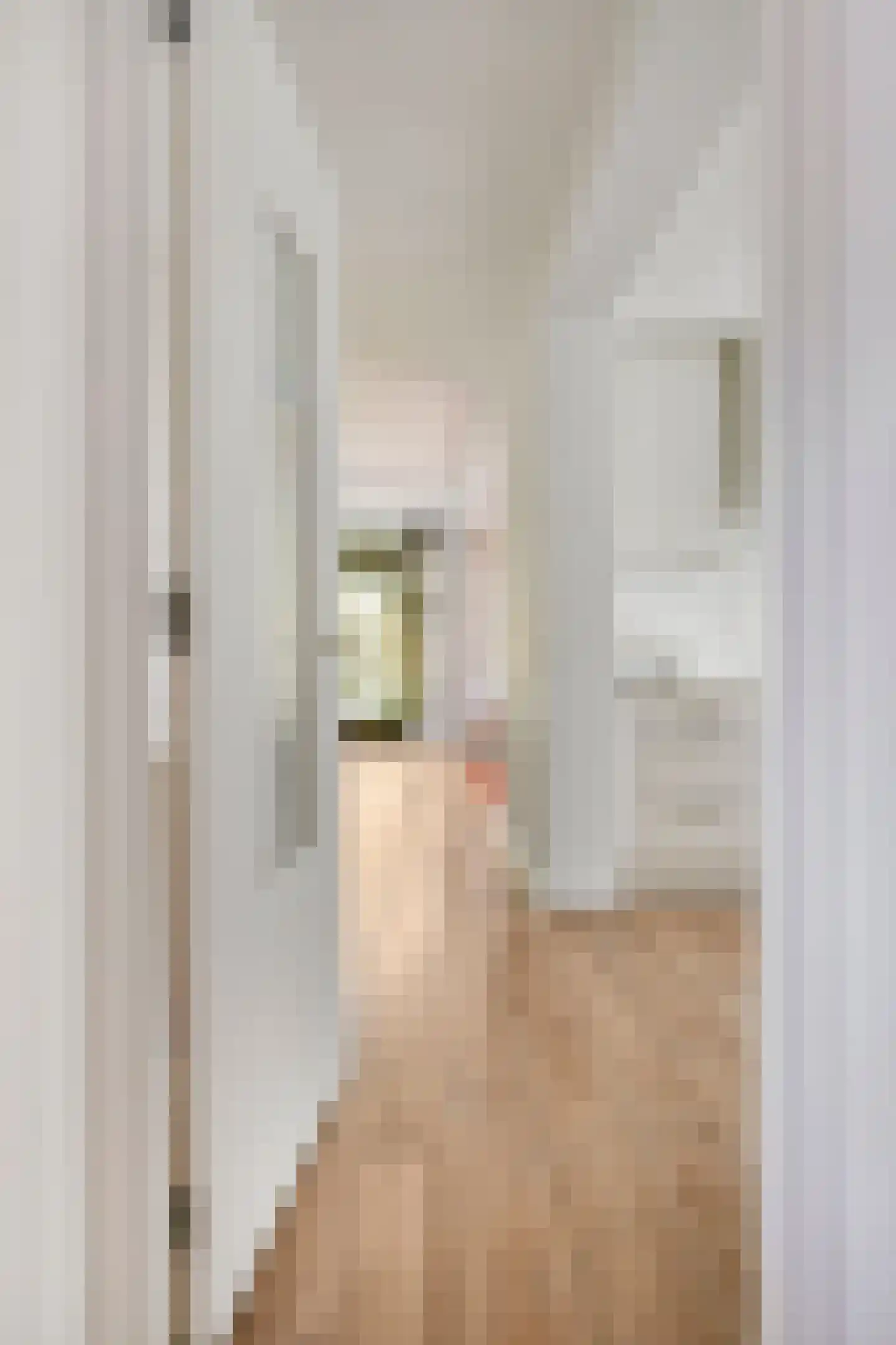 Molenkreek 13 Zwolle thumbnail 7