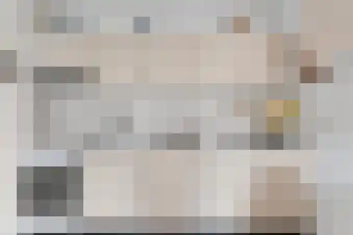Molenkreek 2 Zwolle thumbnail 10