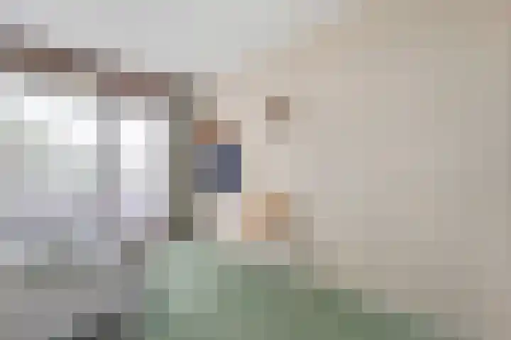 Molenkreek 2 Zwolle thumbnail 19