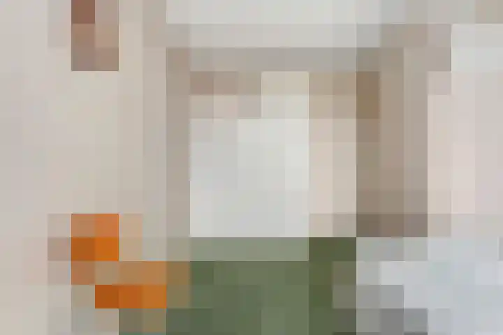 Molenkreek 2 Zwolle thumbnail 20