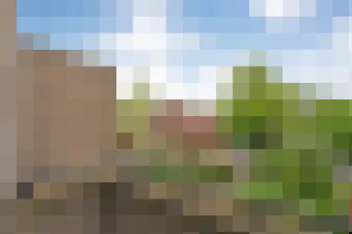 Molenkreek 2 Zwolle thumbnail 21