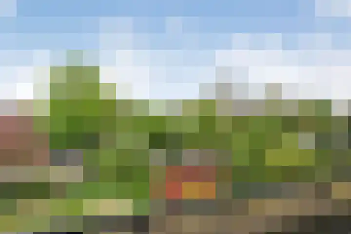 Molenkreek 2 Zwolle thumbnail 22