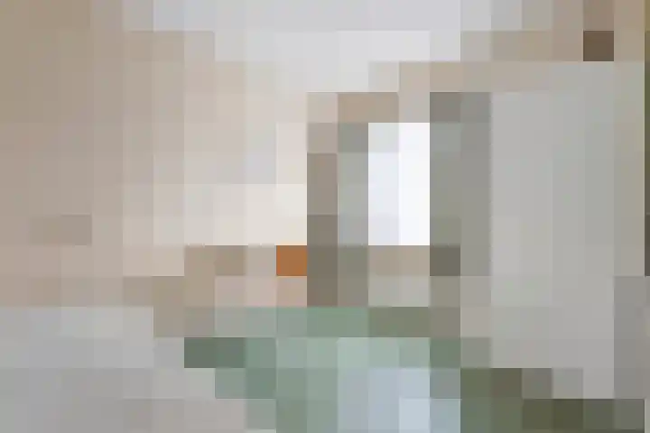 Molenkreek 2 Zwolle thumbnail 23