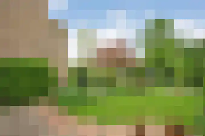 Molenkreek 2 Zwolle thumbnail 29
