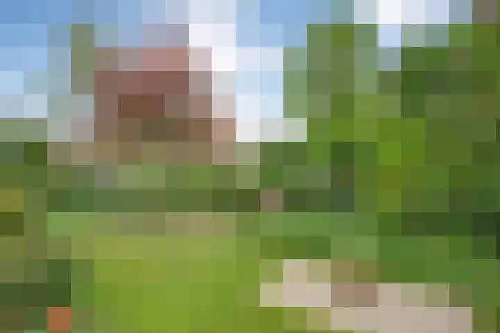 Molenkreek 2 Zwolle thumbnail 30