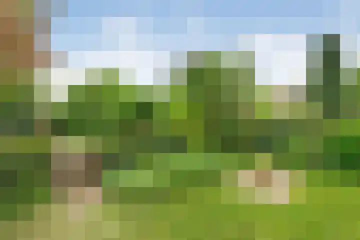 Molenkreek 2 Zwolle thumbnail 32