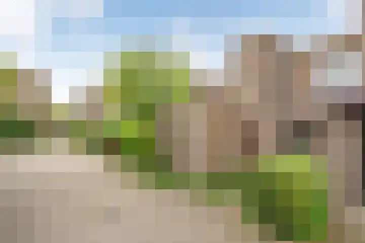 Molenkreek 2 Zwolle thumbnail 33