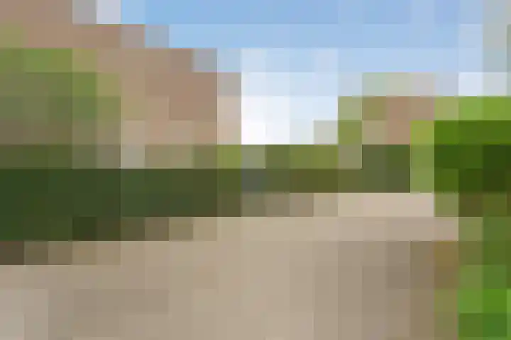 Molenkreek 2 Zwolle thumbnail 35