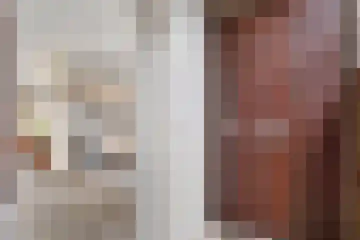 Molenkreek 2 Zwolle thumbnail 5