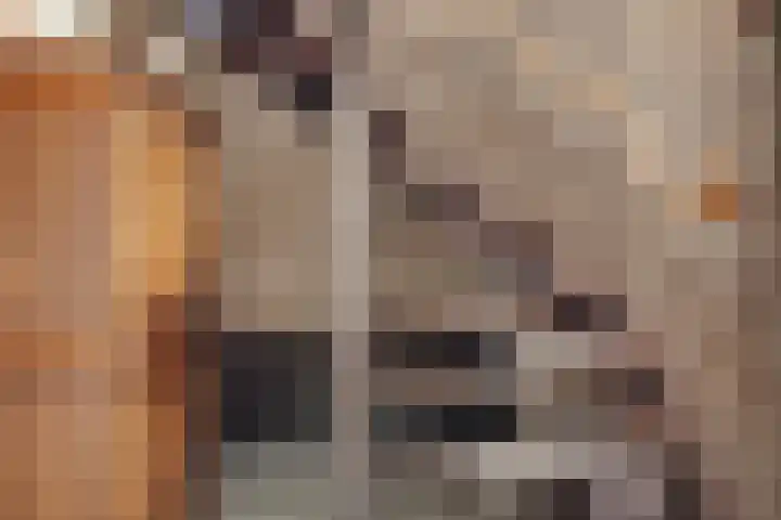 Molenkreek 2 Zwolle thumbnail 7