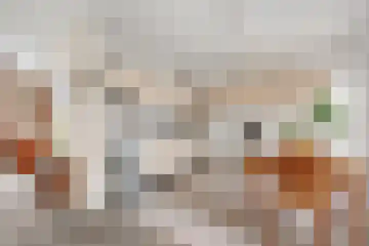 Molenkreek 2 Zwolle thumbnail 8