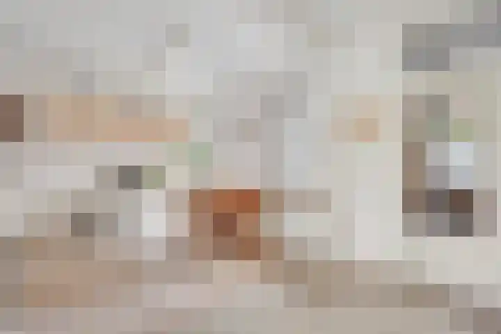 Molenkreek 2 Zwolle thumbnail 9