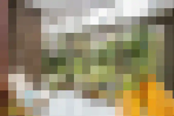 Molenkreek 9 Zwolle thumbnail 10