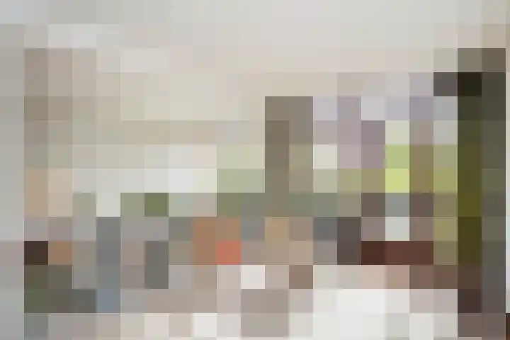 Molenkreek 9 Zwolle thumbnail 12