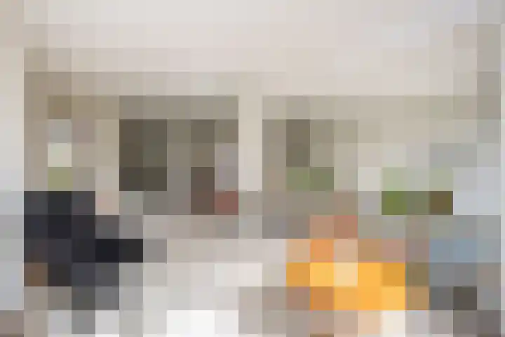 Molenkreek 9 Zwolle thumbnail 14
