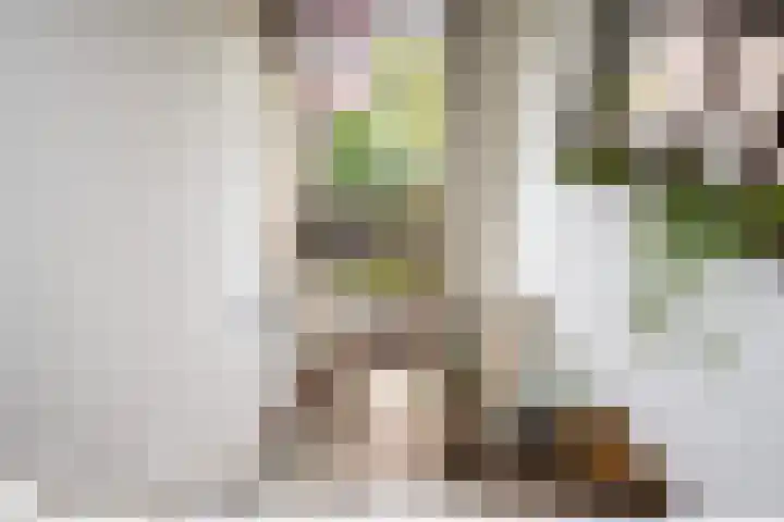 Molenkreek 9 Zwolle thumbnail 17