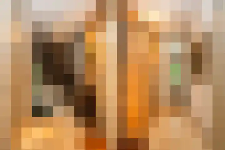 Molenkreek 9 Zwolle thumbnail 18