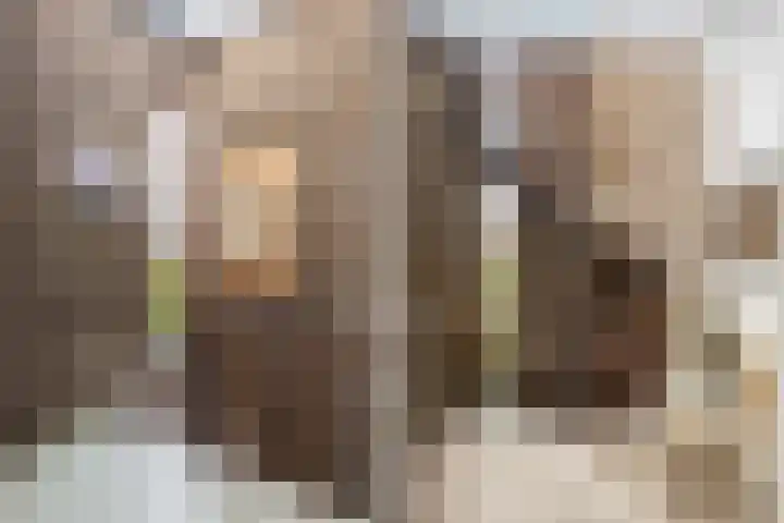 Molenkreek 9 Zwolle thumbnail 20