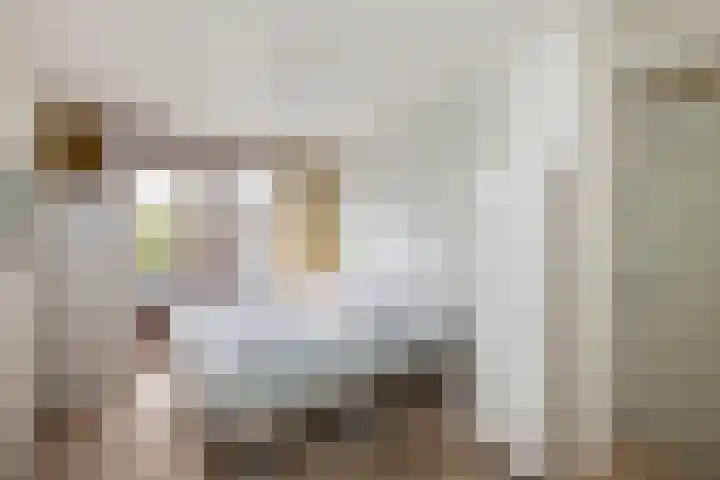 Molenkreek 9 Zwolle thumbnail 22