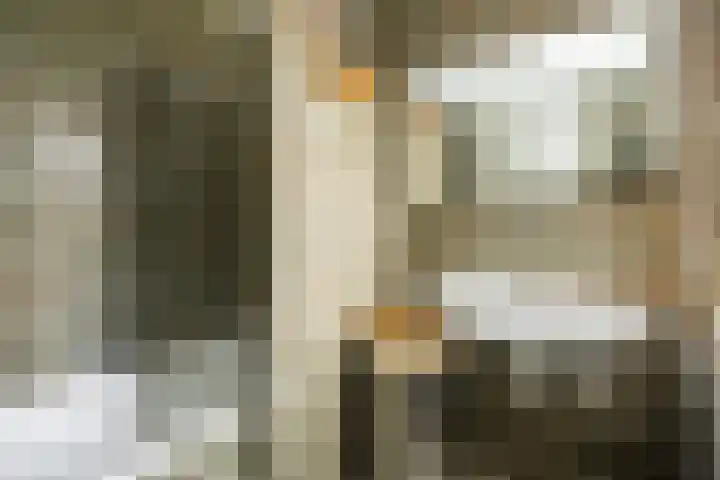 Molenkreek 9 Zwolle thumbnail 28