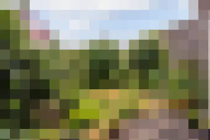 Molenkreek 9 Zwolle thumbnail 30