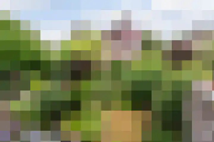 Molenkreek 9 Zwolle thumbnail 31