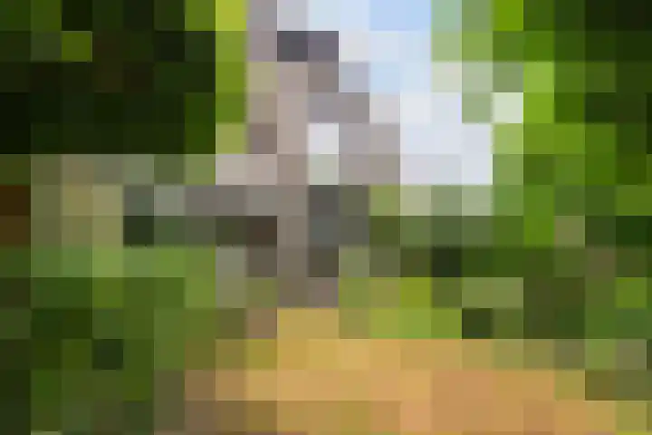 Molenkreek 9 Zwolle thumbnail 32