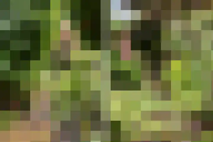 Molenkreek 9 Zwolle thumbnail 33
