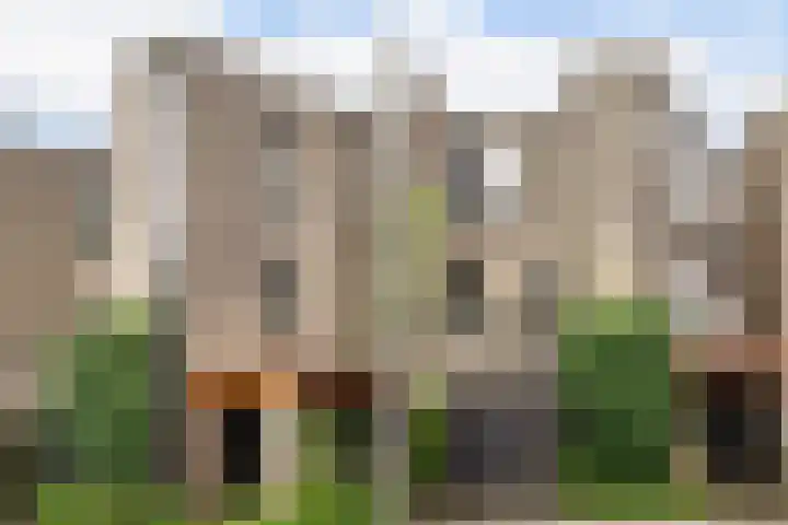 Molenkreek 9 Zwolle thumbnail 35
