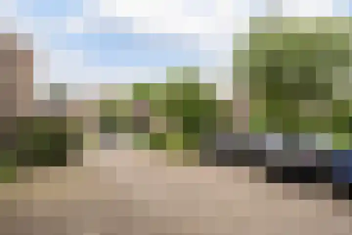 Molenkreek 9 Zwolle thumbnail 37