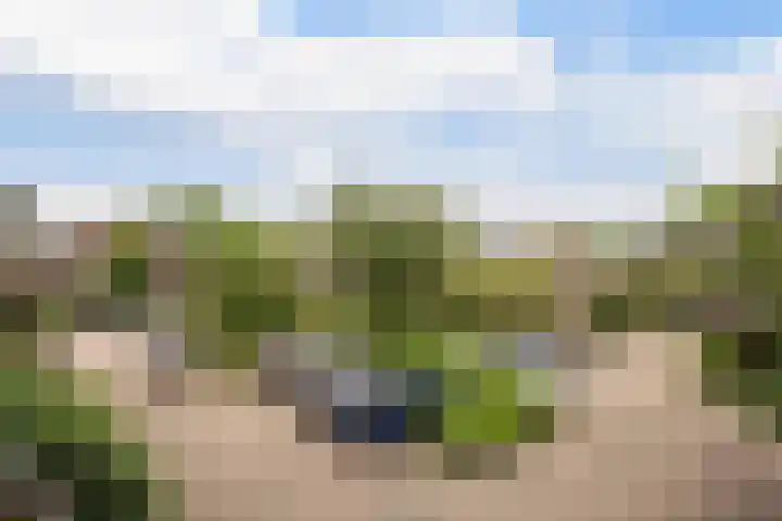 Molenkreek 9 Zwolle thumbnail 38