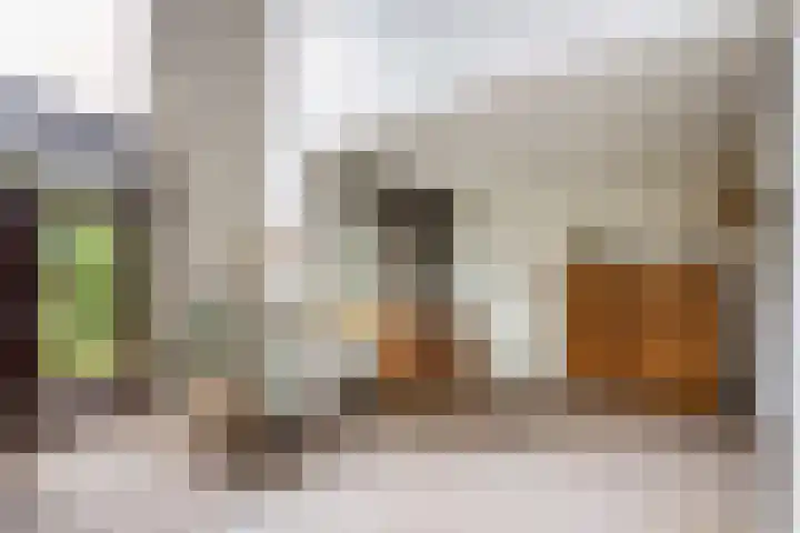 Molenkreek 9 Zwolle thumbnail 4