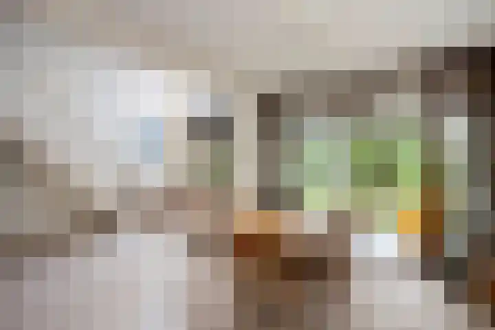 Molenkreek 9 Zwolle thumbnail 5