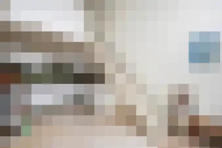 Molenkreek 9 Zwolle thumbnail 6