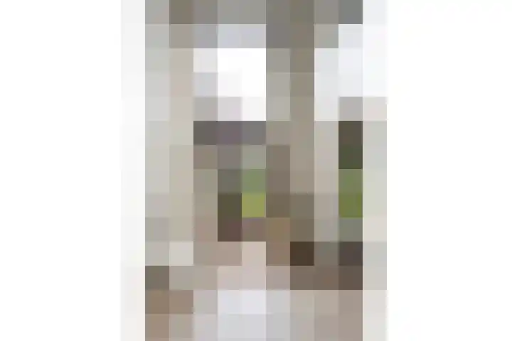 Molenkreek 9 Zwolle thumbnail 8