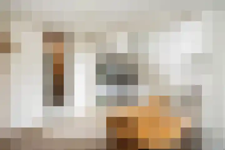 Molenkreek 9 Zwolle thumbnail 9