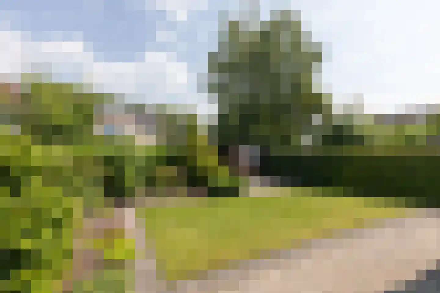 Molenkrite 105 Sneek thumbnail 33